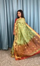 GREEN SAREE WITH GOLDEN PALLU AND RED BLOUSE PIECE
