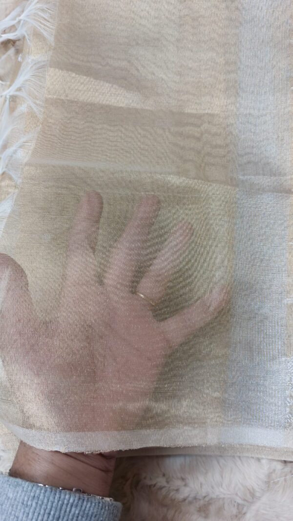 Golden Color Pure Organza Zari Woven Design - Image 4