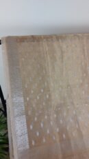Golden Color Pure Organza Zari Woven Design